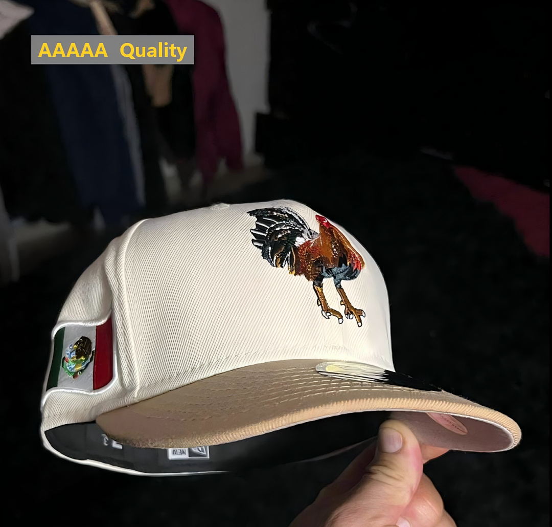 Fitted Hat — Image 1 of 1
