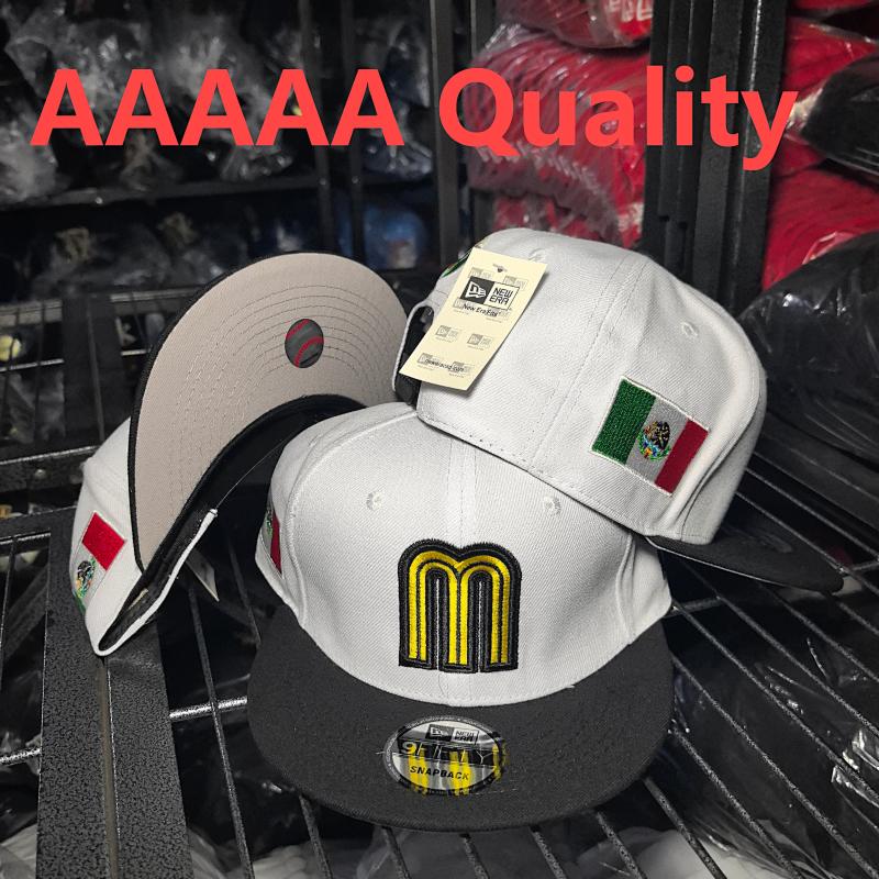 AA M12