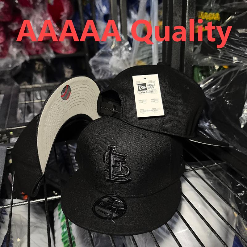 AA LS8