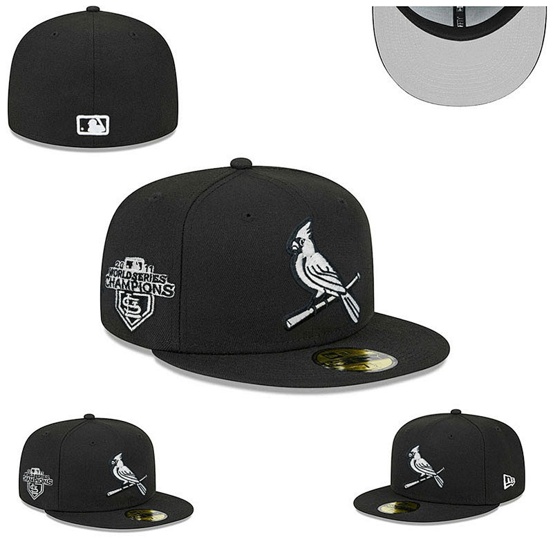 SLC11 (new)