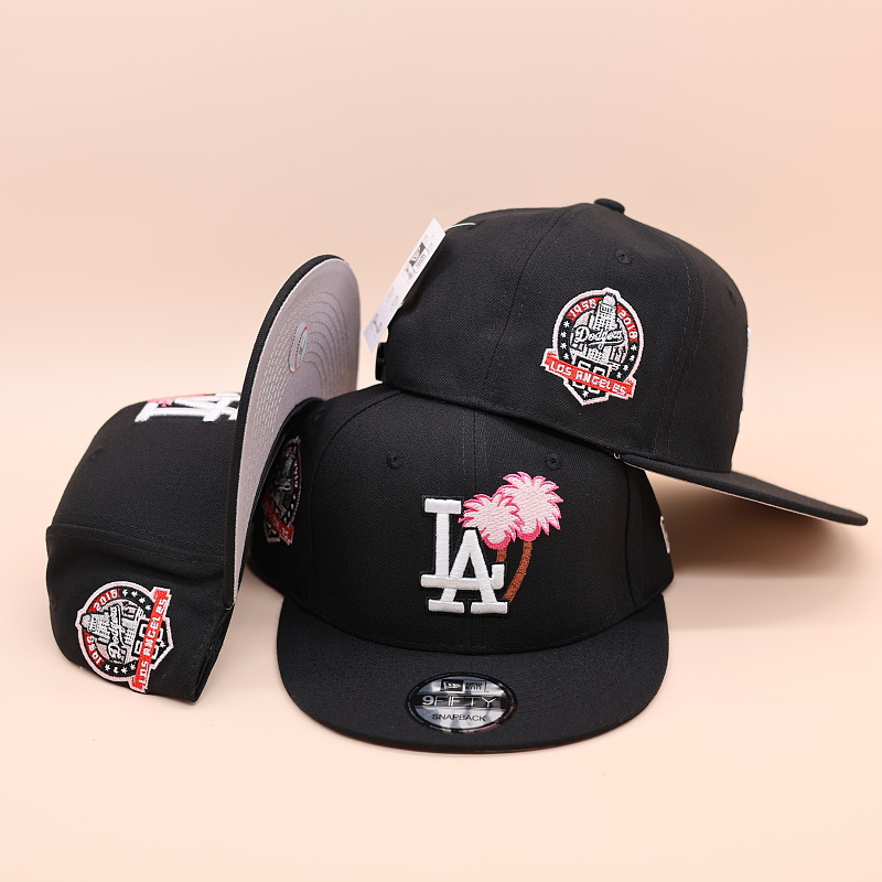 AA Snapback248