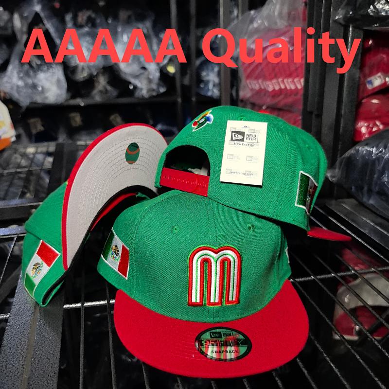 AA M1
