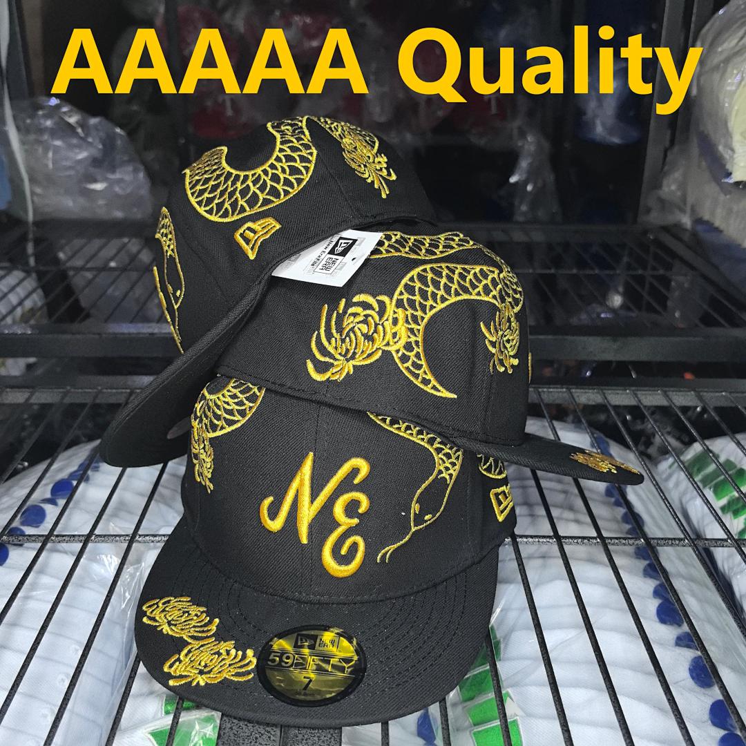 Fitted Hat — Image 1 of 1
