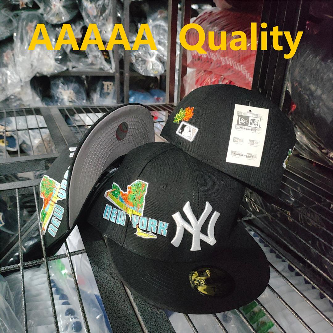 Fitted Hat — Image 1 of 1