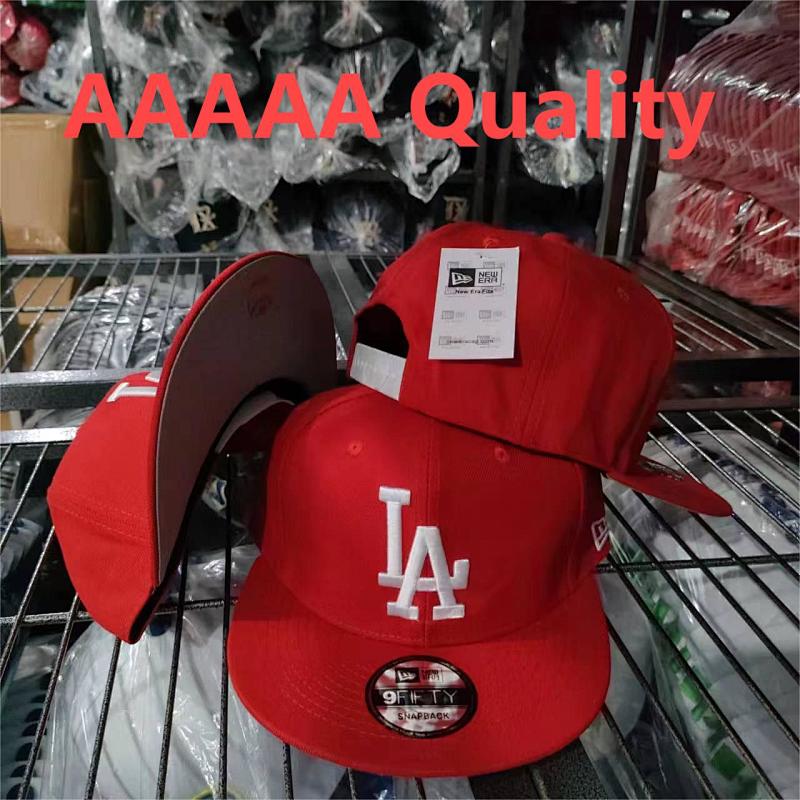 AA LA1