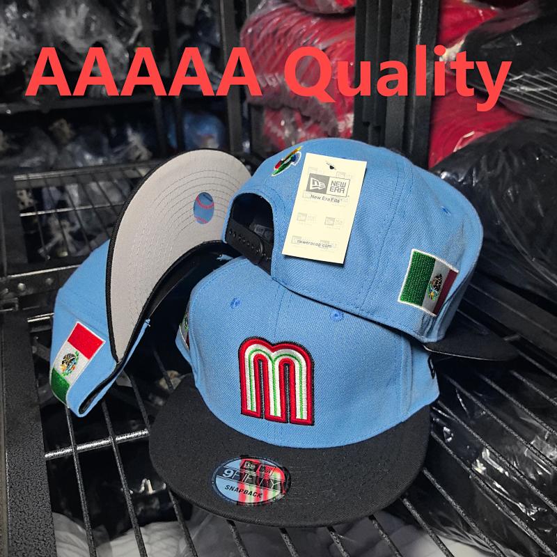 AA M13