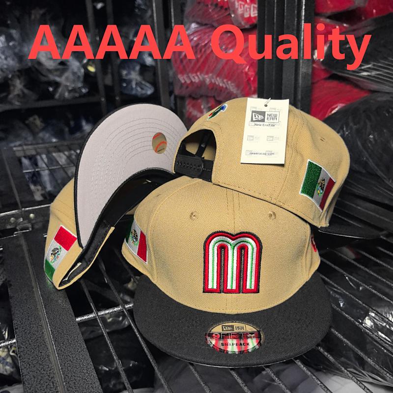 AA M2