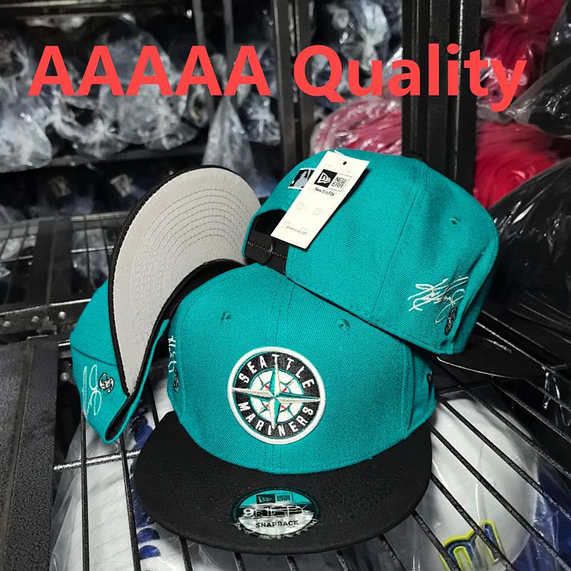 AA SM1