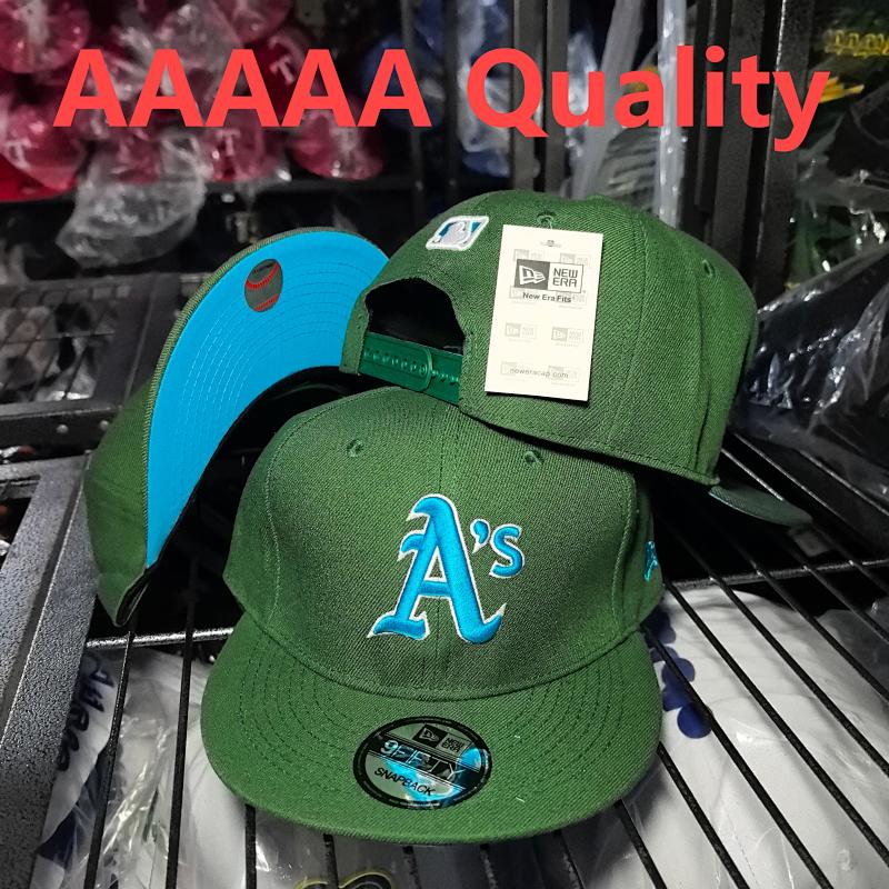 AA AS13